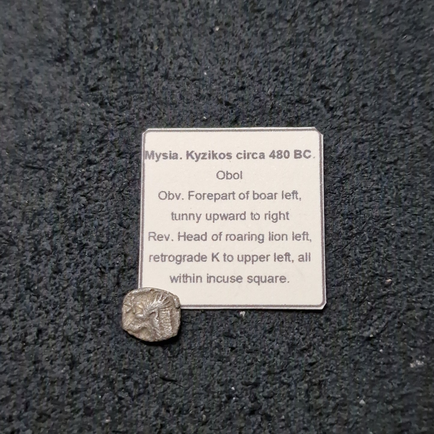 Mysia. Kyzikos circa 480 BC.
Silver Obol