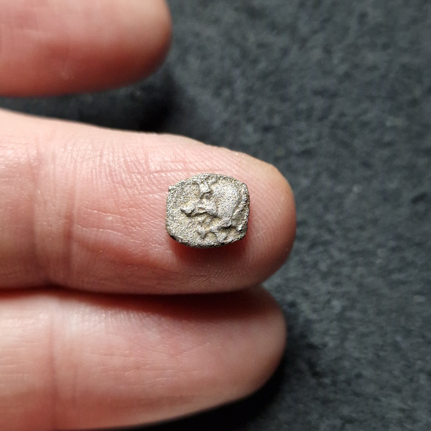 Mysia. Kyzikos circa 480 BC.
Silver Obol