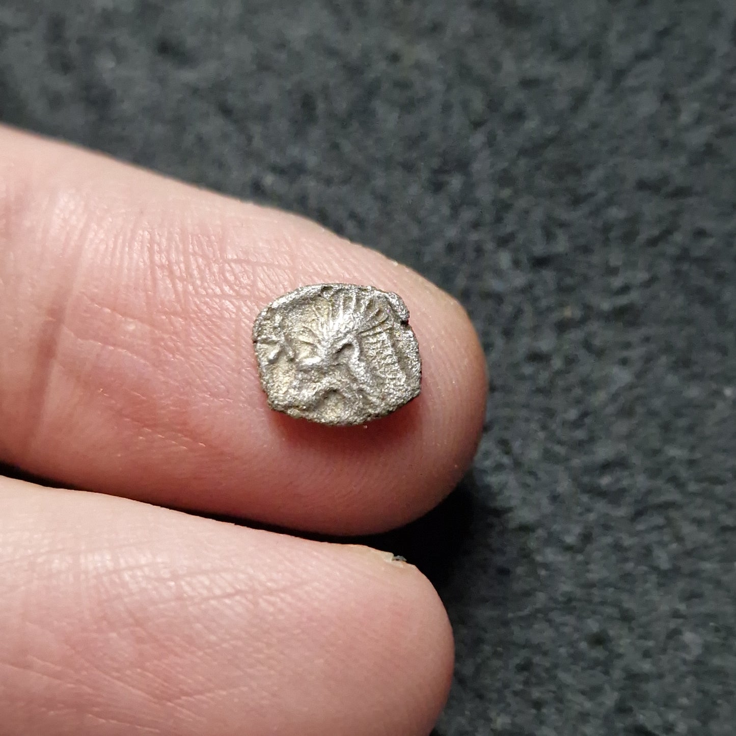 Mysia. Kyzikos circa 480 BC.
Silver Obol